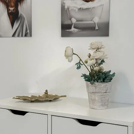 Apartmán Emma Am Am Duemmer *